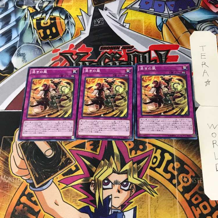 Dried Winds CORE 2 Normal, set of 3 Tera