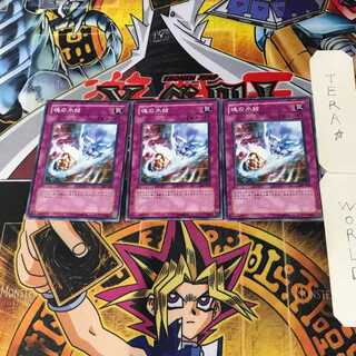 魂の氷結 305 2 ノーマル 3枚セット てら