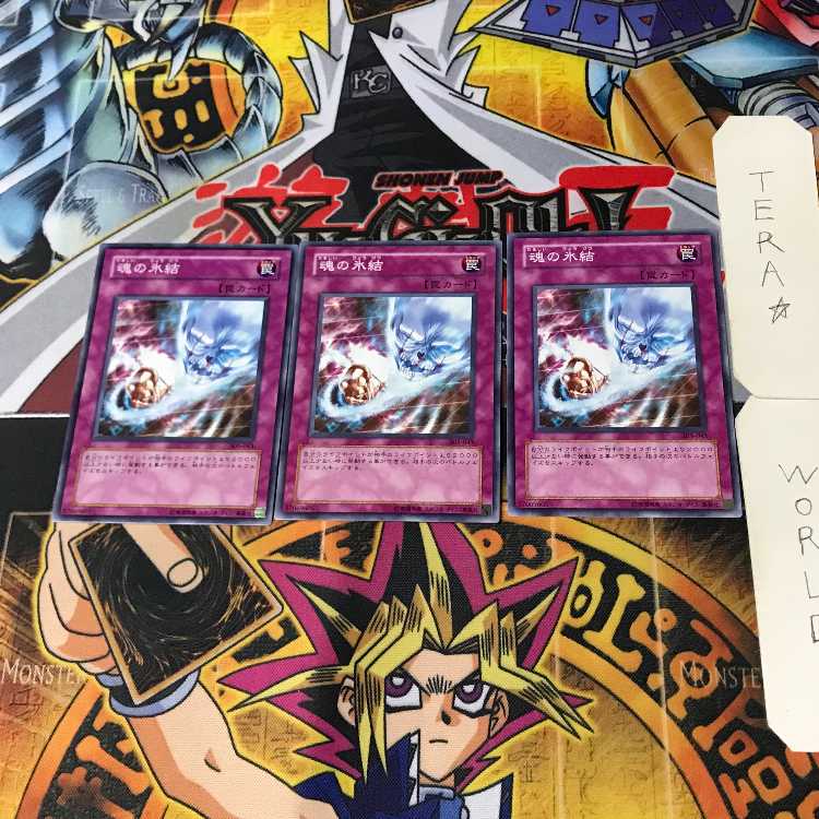 Frozen Soul 305 4 Normal, set of 3 Tera.