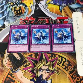 Humid Winds CORE 5 Normal, set of 3 Tera.