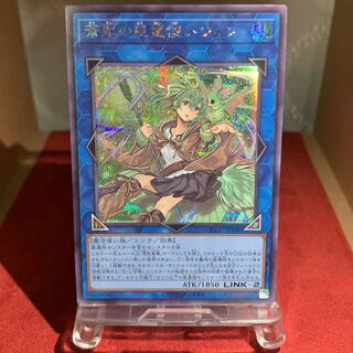 遊戯王 2019 中国大会 決闘都市 蒼翠の風霊使いウィン プレイマット 遊戯王 蒼翠の風霊使いウィン 20thシークレットレア アジア版