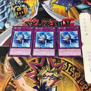 Humid Winds LVP1 2 Normal Set of 3 Tera