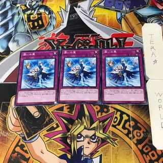 Humid Winds LVP1 5 Normal Set of 3 Tera