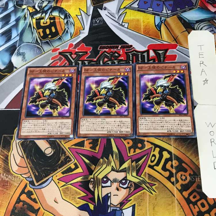 BF-Sangen no Pinaka PP17 3 Normal, set of 3 Tera.