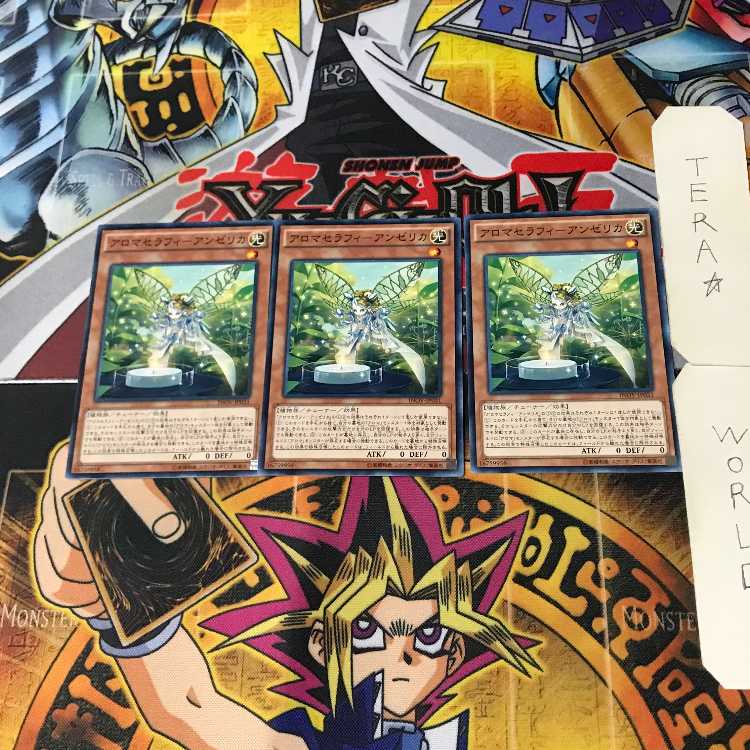 Aromatheraphy - Angelica INOV 1 Normal, set of 3 Tera.