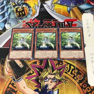 Aromatheraphy - Angelica INOV 5 Normal, set of 3 Tera