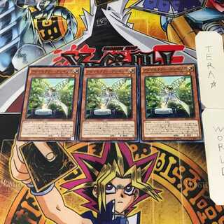 Aromatheraphy - Angelica INOV 6 Normal, set of 3 Tera