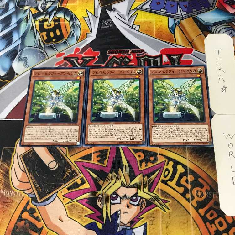 Aromatheraphy - Angelica INOV 7 Normal, set of 3 Tera