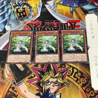 Aromatheraphy - Angelica INOV 8 Normal, set of 3 Tera