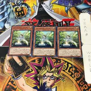 Aromatheraphy - Angelica LVP1 2 Normal Set of 3 Tera