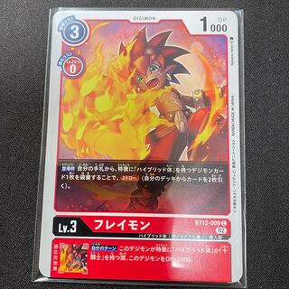 BT12-009 Freymont, set of 4