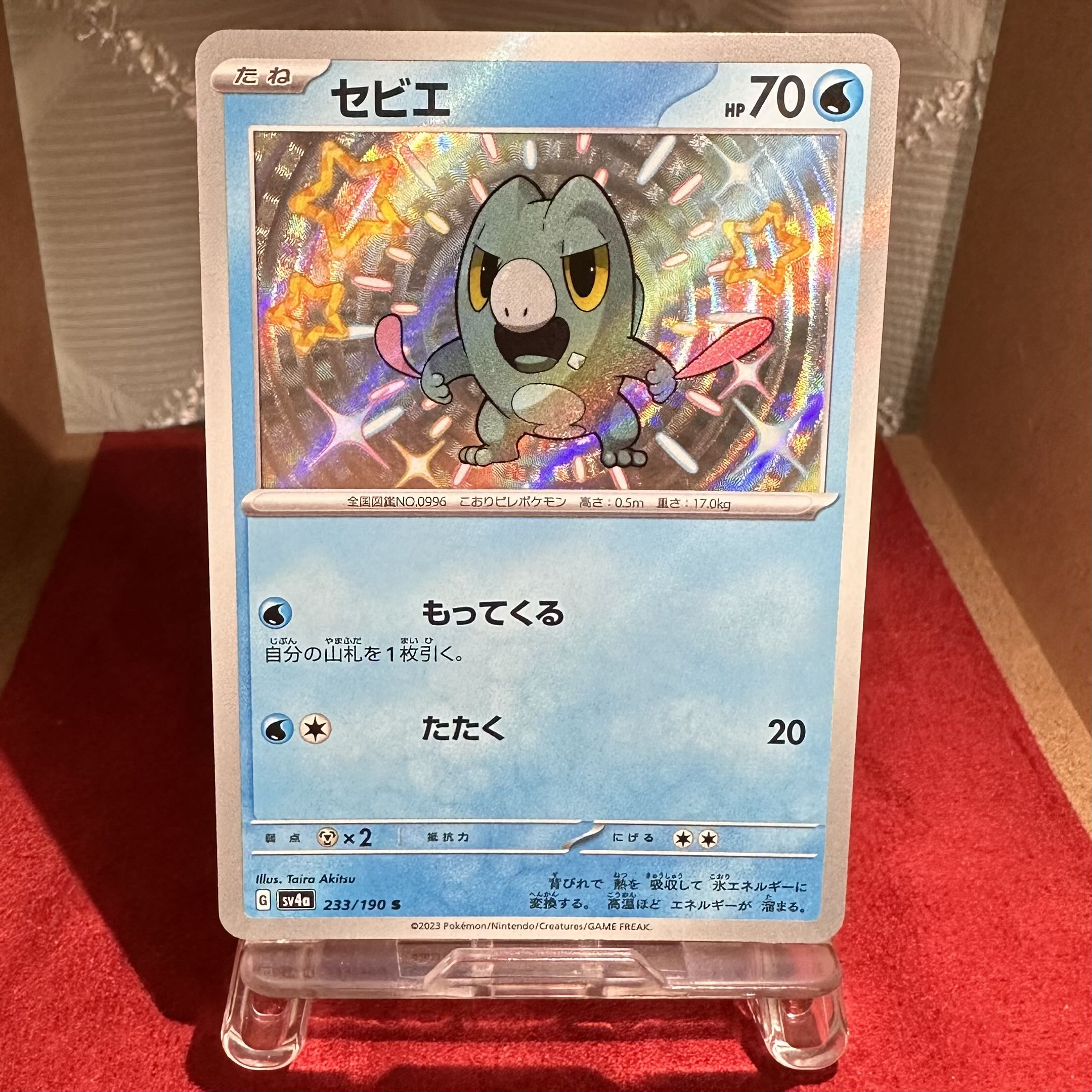 Pokémon Card [Sevier] S exclusively for Trekker Warehouse