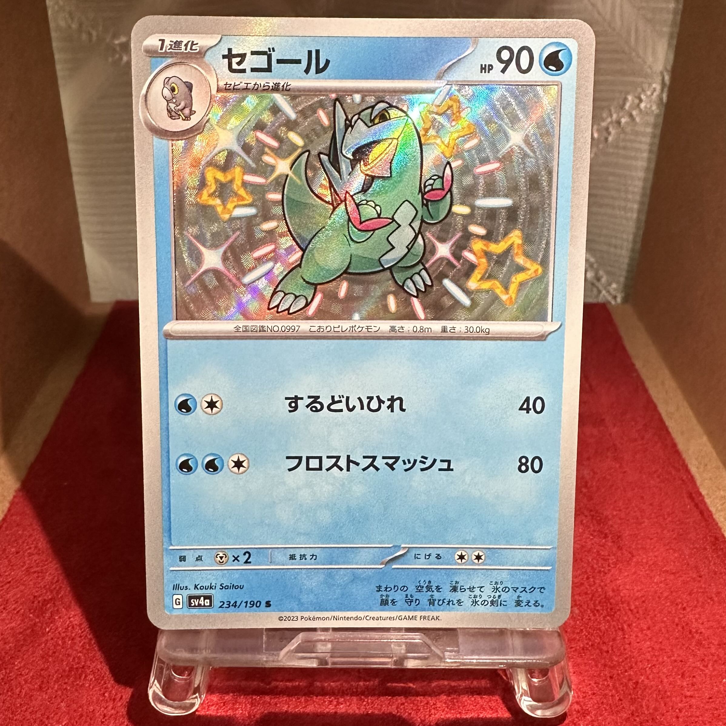 Pokémon Card [Segall] S exclusively for Trekker Warehouse