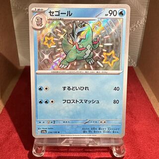 Pokémon Card [Segall] S exclusively for Trekker Warehouse