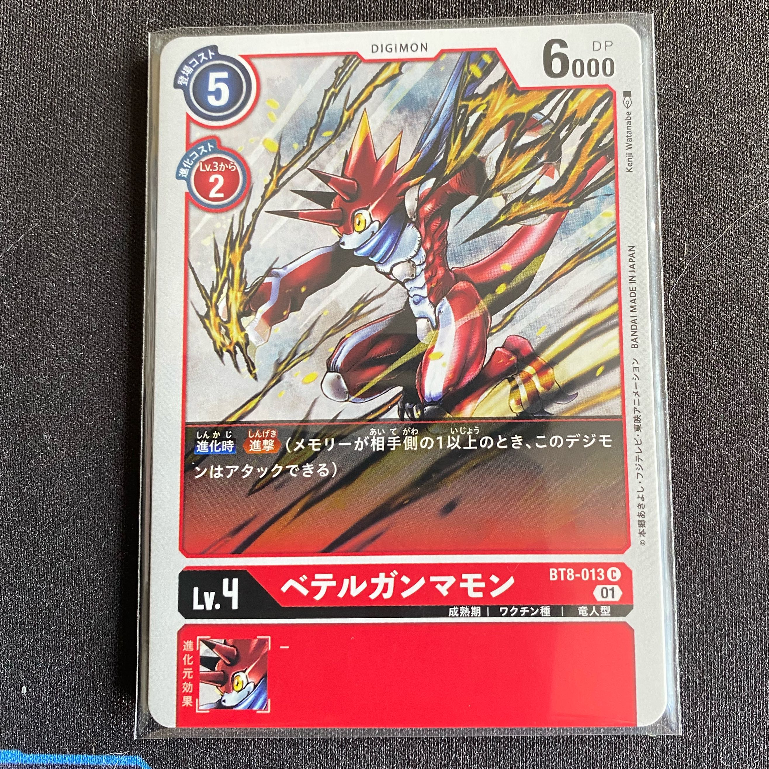 BT8-013 Betel Gammon, set of 4