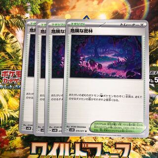 危険な密林 U 070/071