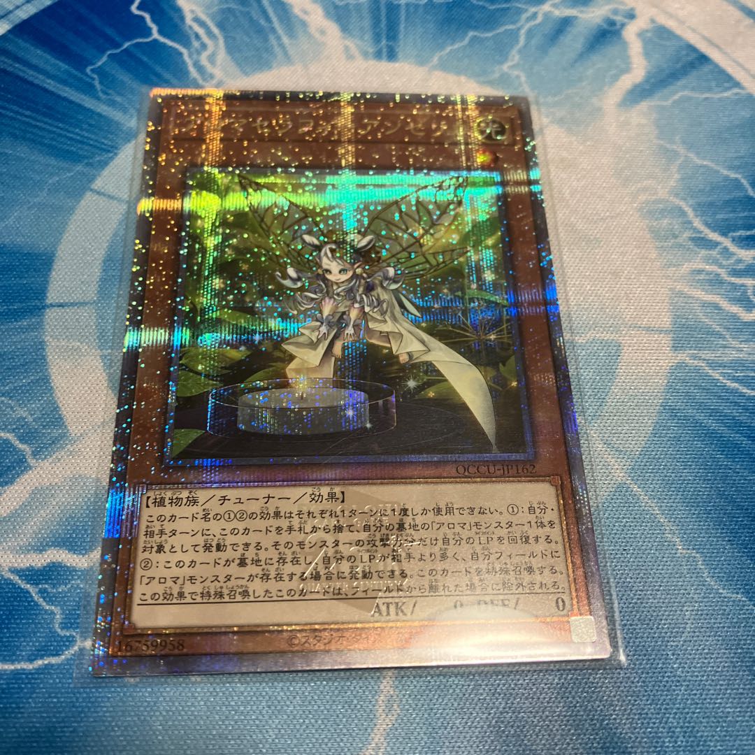 Aromatherapy Angelica QCSE QCCU-JP162