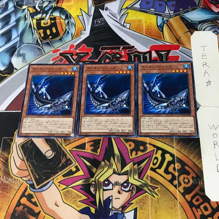 Lantern Shark ETCO 3 Normal Set of 3 Tera