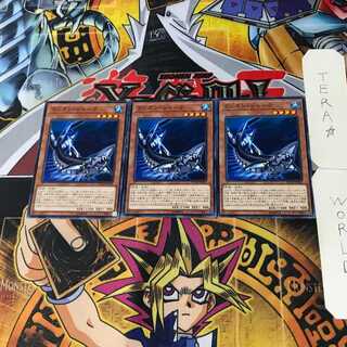 Lantern Shark ETCO 3 Normal Set of 3 Tera