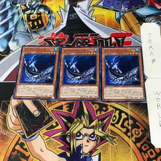 Lantern Shark ETCO 4 Normal, set of 3 Tera