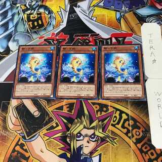 Beautunaful Princess PRIO 5 Normal, set of 3 Tera