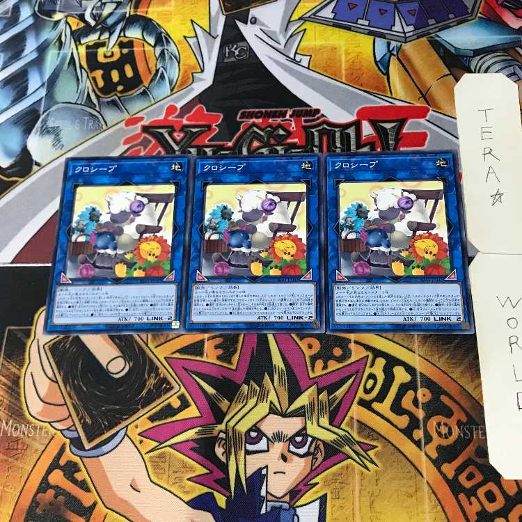 Cross-Sheep IGAS 2 Normal, set of 3 Tera.