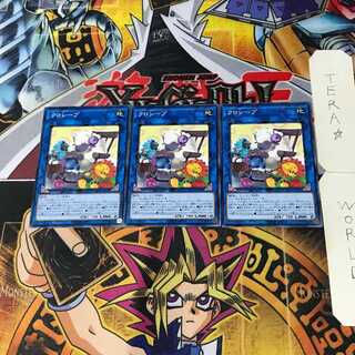 Cross-Sheep IGAS 2 Normal, set of 3 Tera.