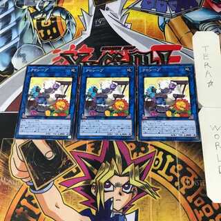 Cross-Sheep IGAS 5 Normal, set of 3 Tera.