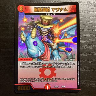 Single shot magnum 9/18