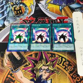 Sky Iris SD29 7 Normal Parallel Set of 3 Tera