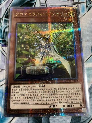 Aromatherapy Angelica