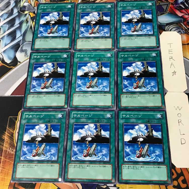 Salvage EE2 2 Normal, set of 9 Tera. 9枚