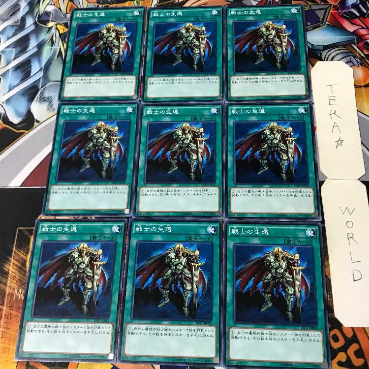 The Warrior Returning Alive SD27 2 Normal 9-card set Tera
