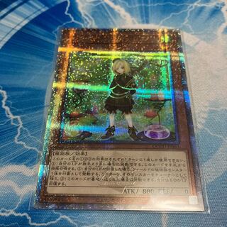 Aromage - Laurier QCSE QCCU-JP163