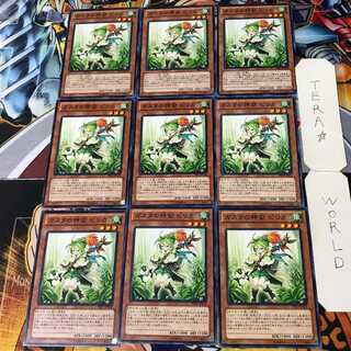 Gasta's Descendant Pirika PRIO 2 Normal, set of 9 Tera.