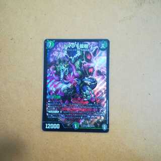 ドマンモ龍樹　②