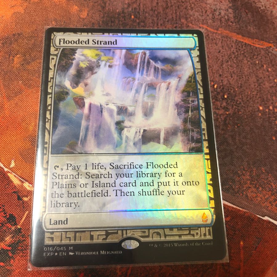 溢れかえる岸辺 エクスペディション