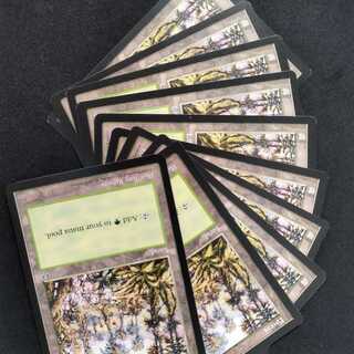 Forest 10 pieces of land 10枚