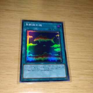 Fishfinder Super Rare JP020