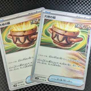 1/6  【Tree様専用】大地の器　2枚セット