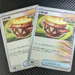 4/6  【Tree様専用】大地の器　2枚セット