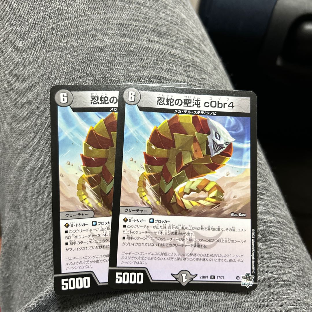 The Holy Chaos of the Ninja Serpent c0br4 R 17/74