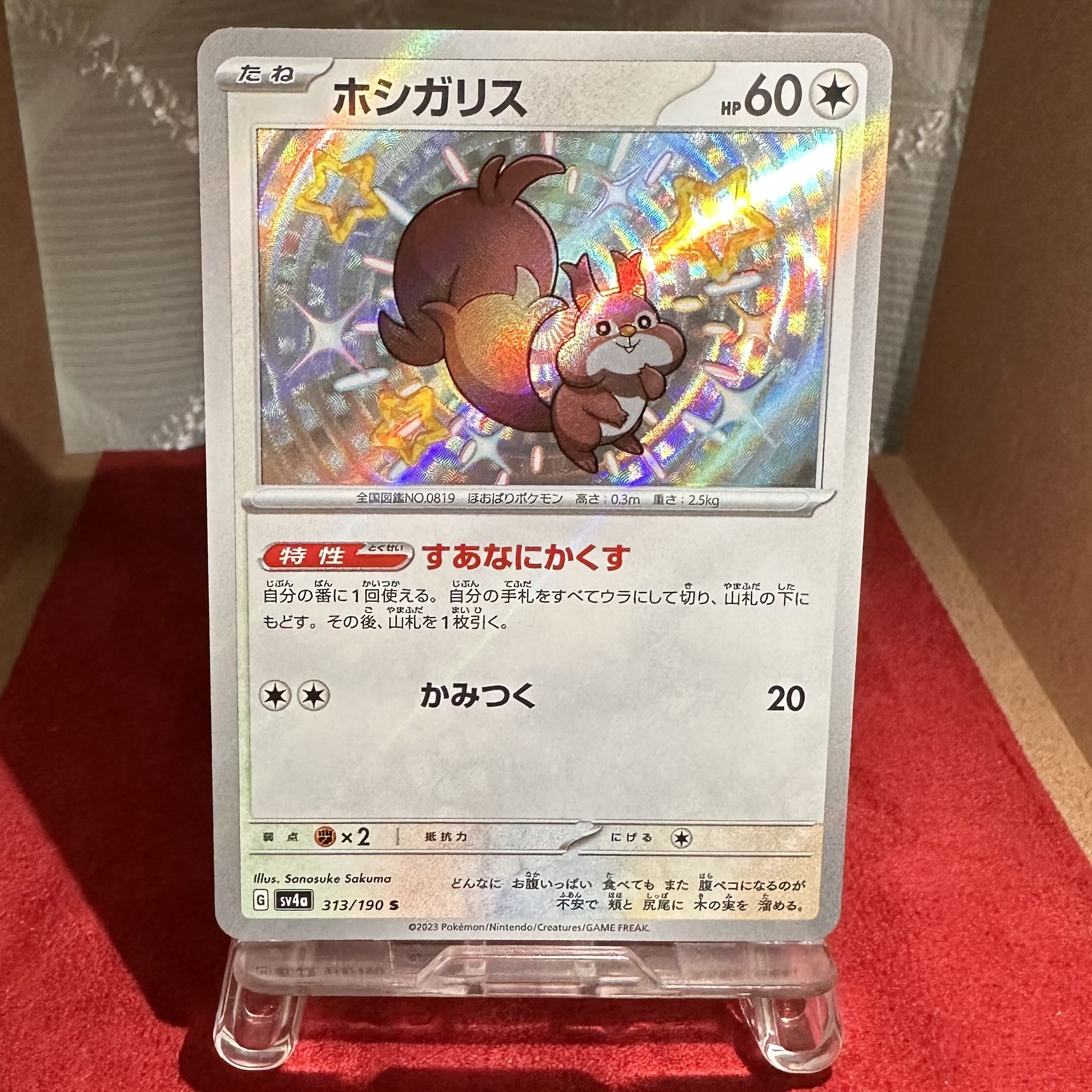 Pokemon Card [Skwovet] S