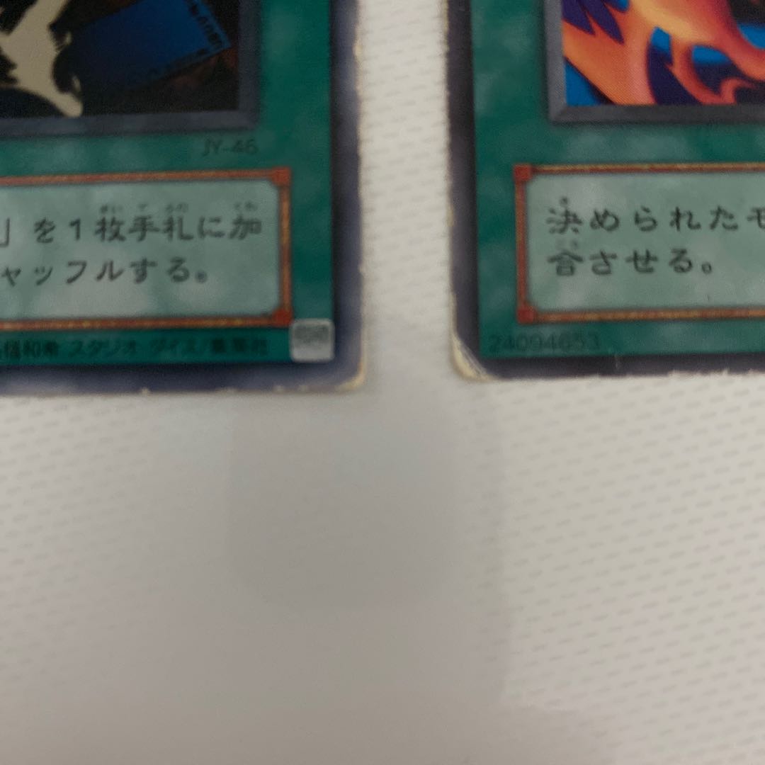 融合系　ノーマル