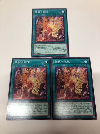 Succeeding of the Spirit Beast Normal TW01-JP125