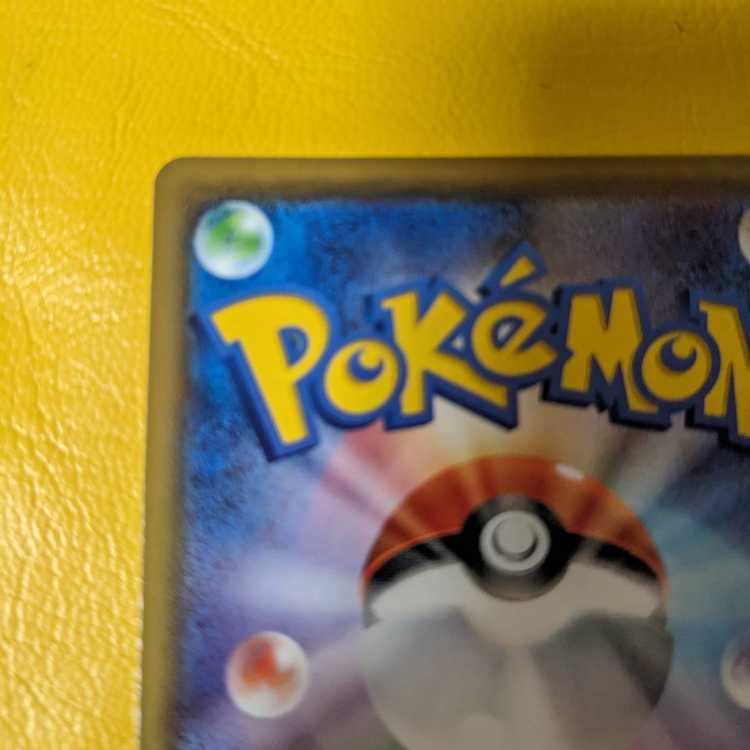 Rosa SR 067/049 Integrity Beautiful Good Centering