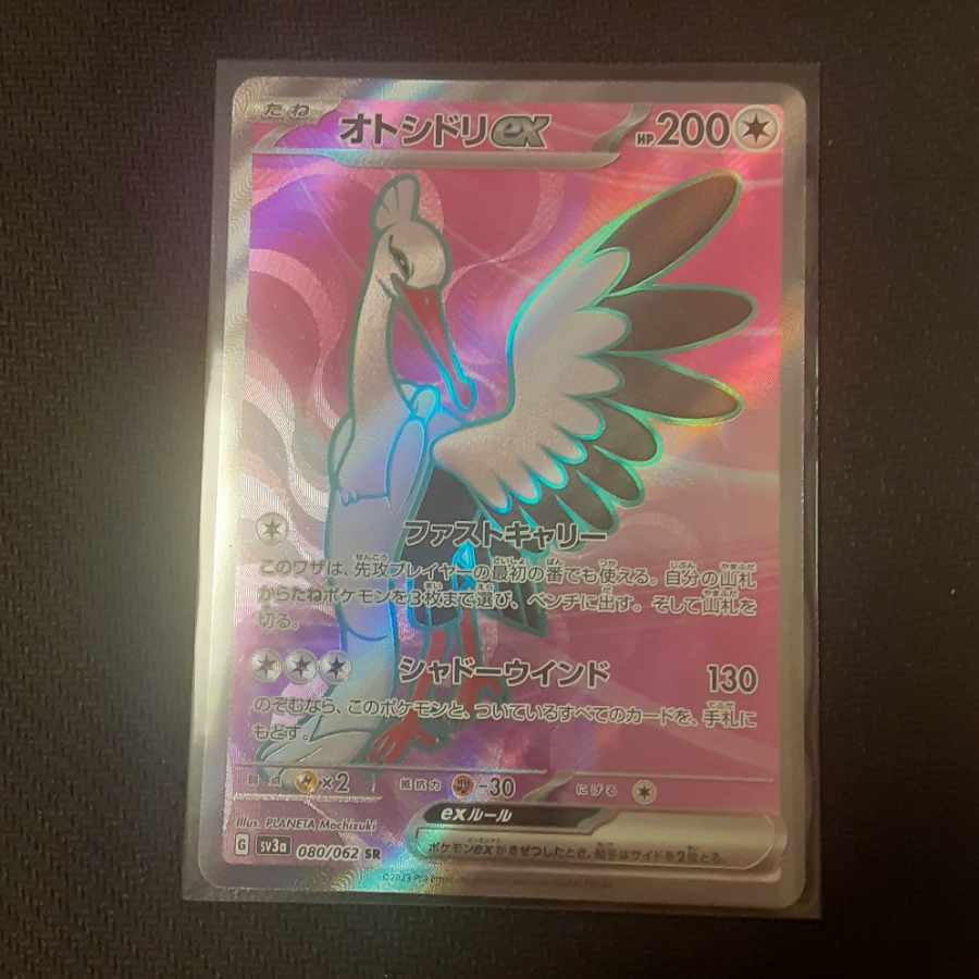 ptarmigan (Lagopus muta, esp. the Japanese ptarmigan, Lagopus muta japonica)