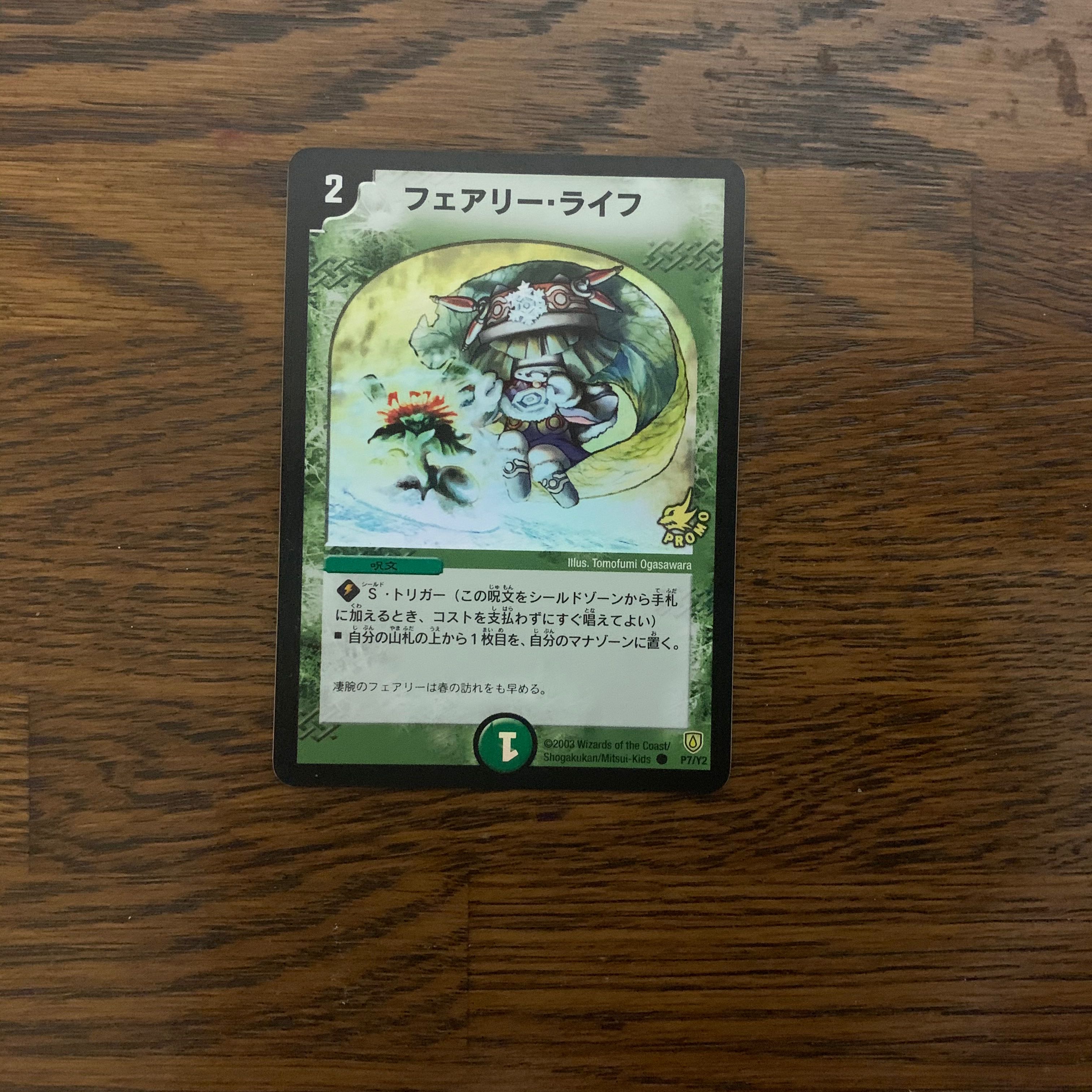 フェアリー・ライフ 初期プロモ