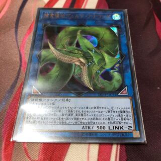 遊戯王 捕食植物ヴェルテ・アナコンダ