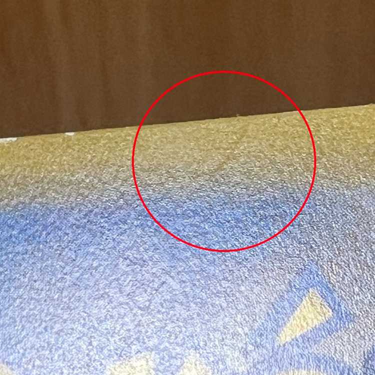 Acerola Foresee SR 255/184 S8b Pokémon Card Game Pokéka ⑥